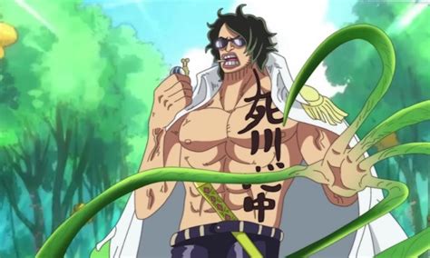 RELATED One Piece Admiral Ryokugy's Name and Curious Physical Appearance, Explained. . Ryogoku one piece